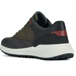 Hot Geox Baskets kaki