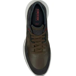 Hot Geox Baskets kaki