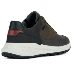 Hot Geox Baskets kaki