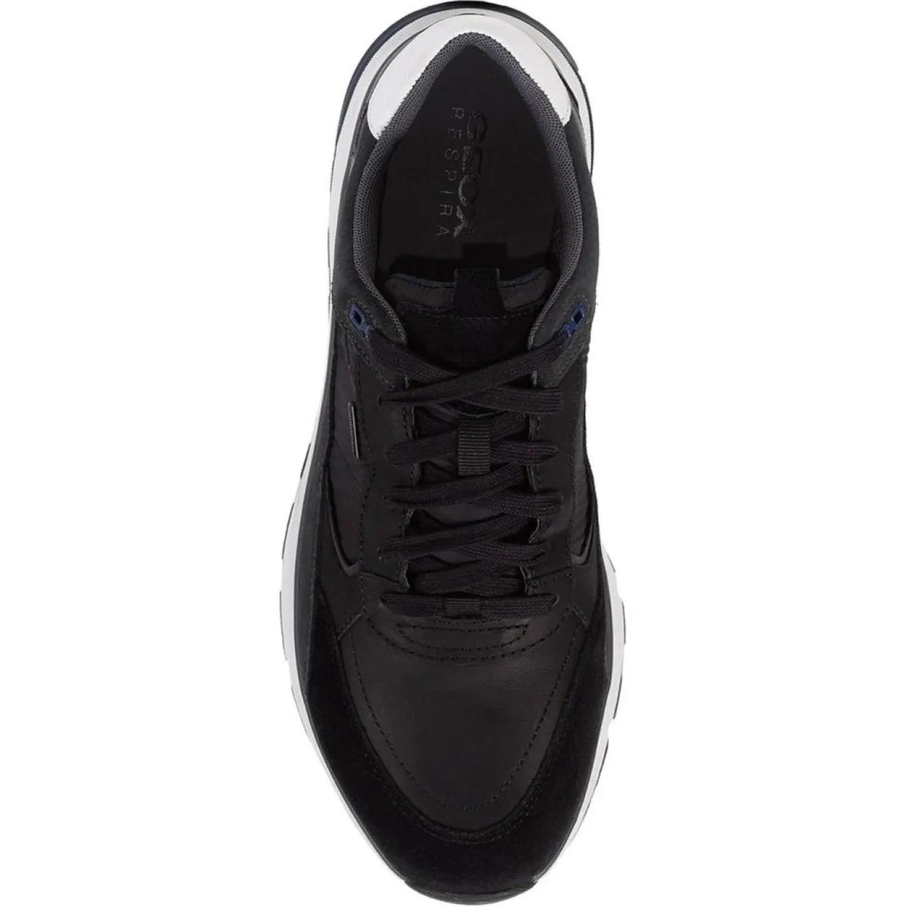 Outlet Geox Baskets en Cuir Dolomia noires