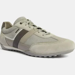 Homme Geox Baskets Wells grises