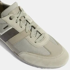 Homme Geox Baskets Wells grises