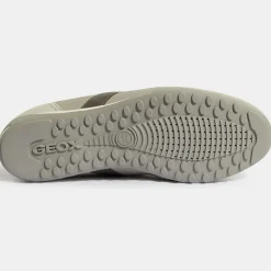 Homme Geox Baskets Wells grises