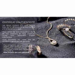 Femme Instant d'Or Boucles d'oreilles créoles or tricolore