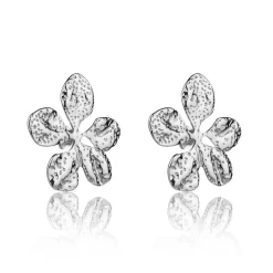 Femme Amelia Parker Boucles d'oreilles Zavira argentées