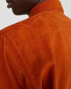 Clearance Marc O'Polo Chemise regular en Velours milleraies orange