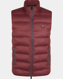 Homme Hackett London Doudoune sans manches bordeaux