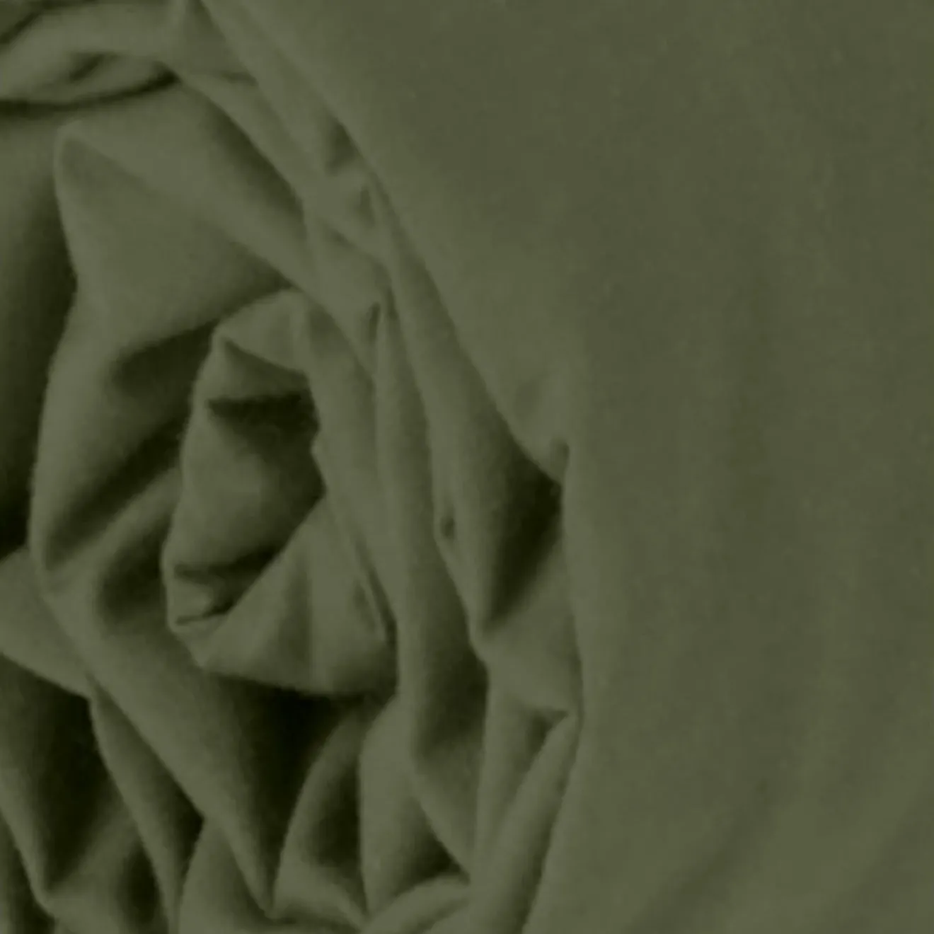 Home Collection Drap Housse en percale de Coton vert