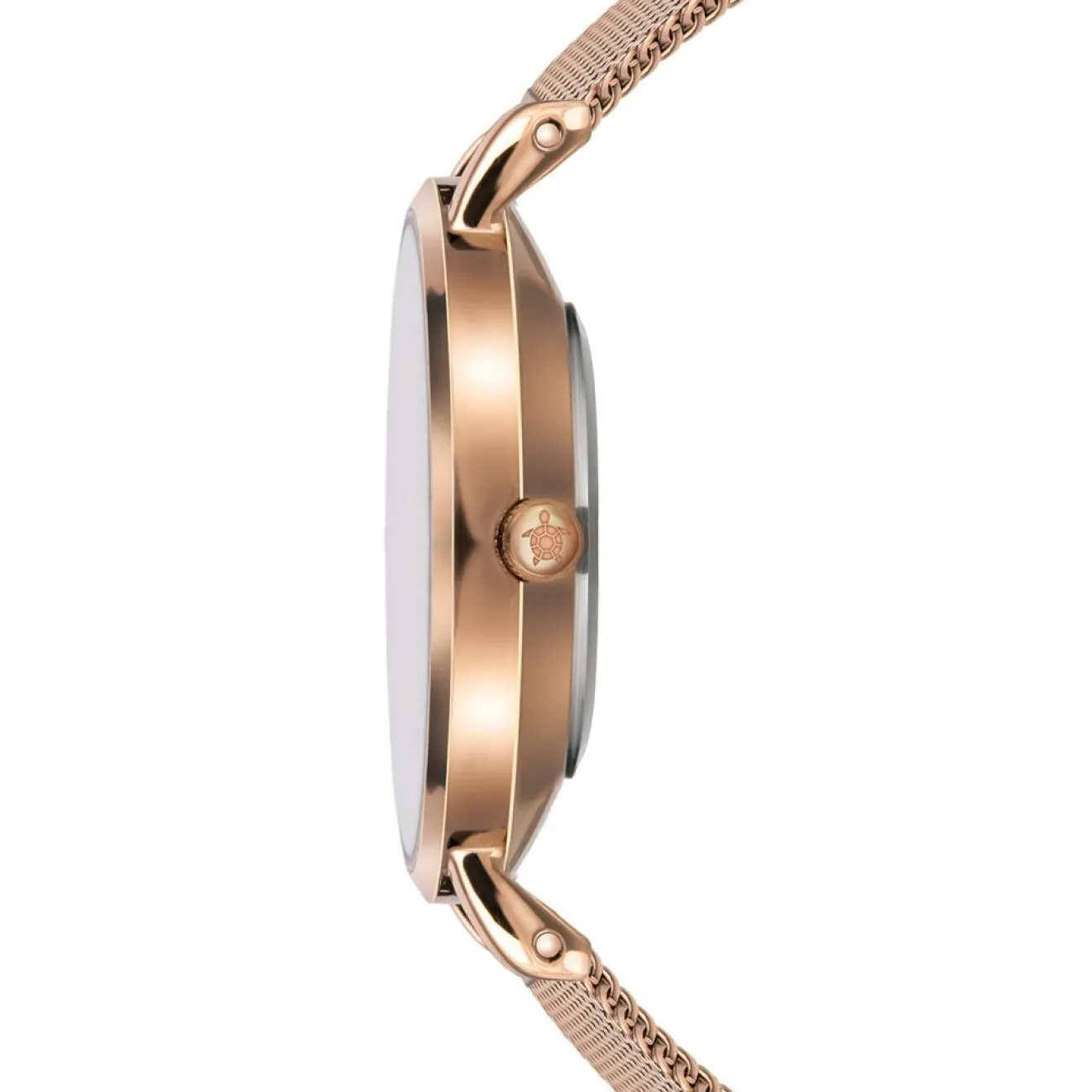 Femme Amelia Parker Montre Femme Petite Classique en Acier rose doré
