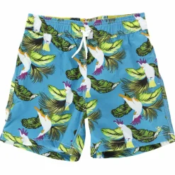 Sale Hackett London Short de Bain Birds bleu/vert