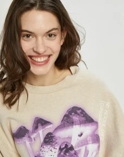 Online Acne Studios Sweat Fa-Ux imprimé beige/violet