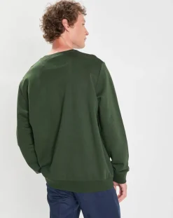 Discount Hackett London Sweat Harry Dog vert