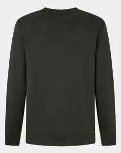 Discount Hackett London Sweat Harry Dog vert