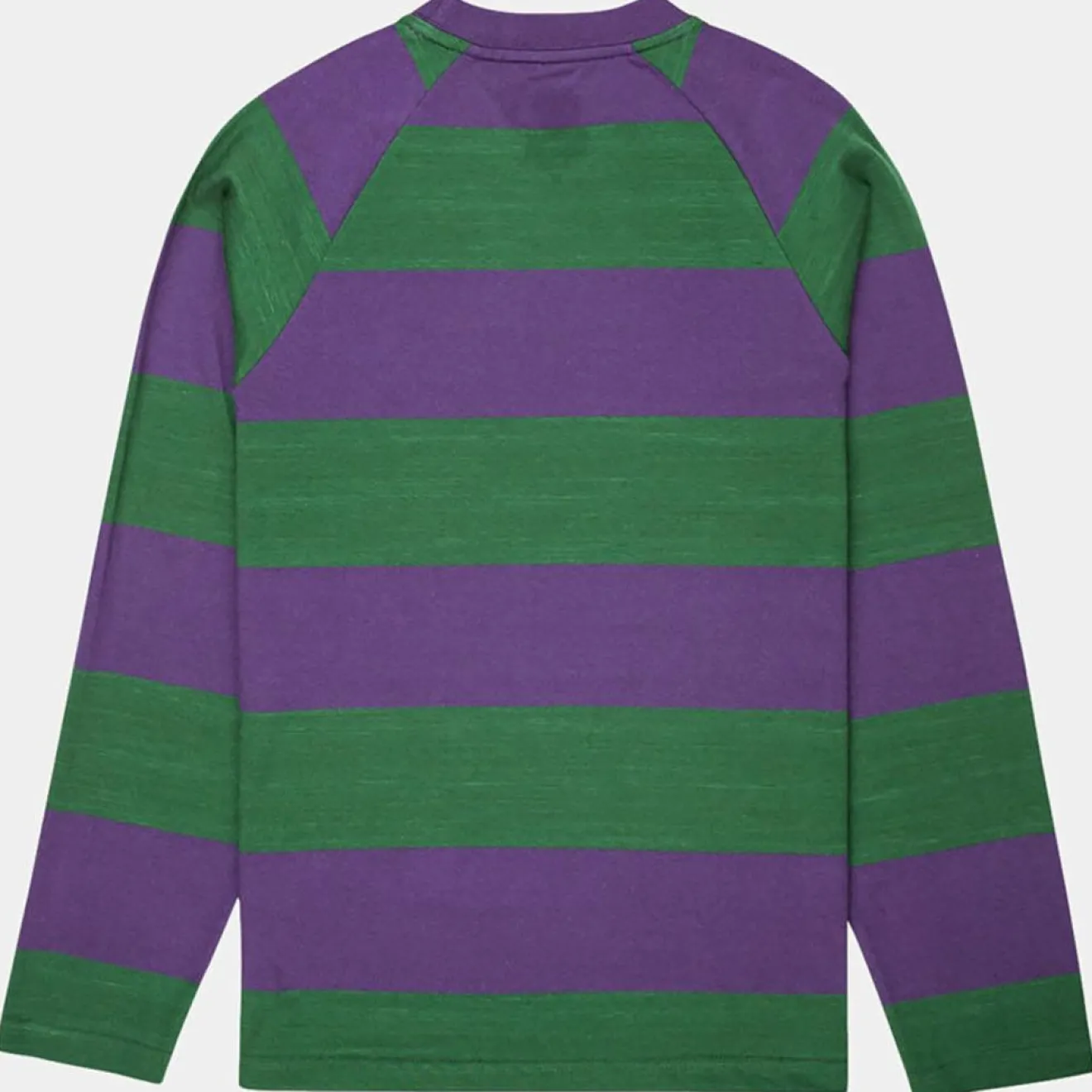 Homme Element T-Shirt Blunt 3.0 rayé Ls vert/violet